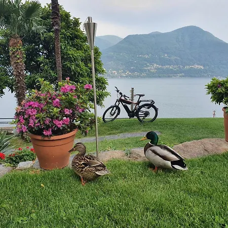 Casa Bellosguardo * Brissago